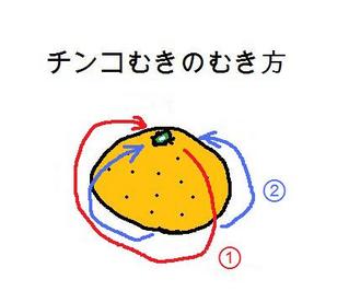 チンコむき