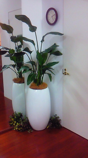 201009061711001
