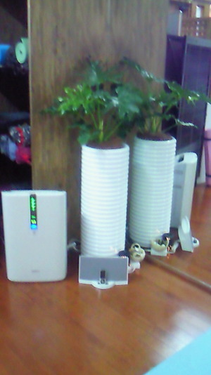 201009061712000