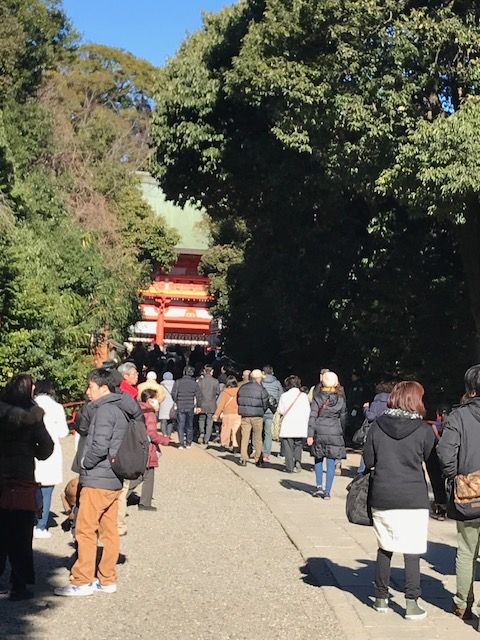 氷川神社2
