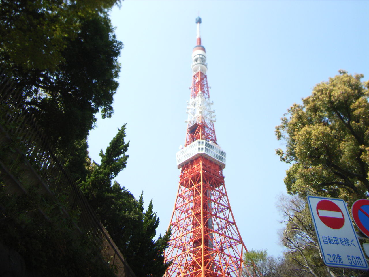 RIMG0619