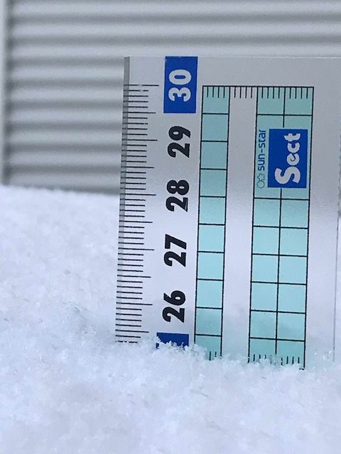 雪4