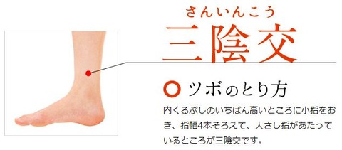 三陰交
