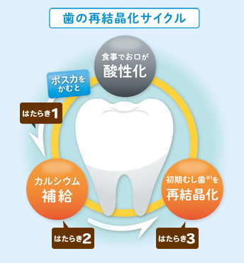 歯の再結晶化