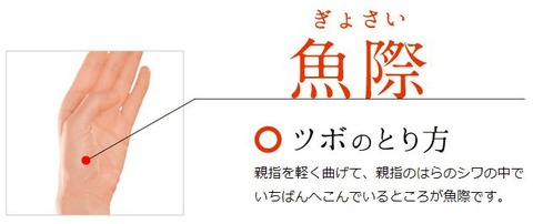魚際-ぎょさい