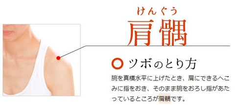 肩髃