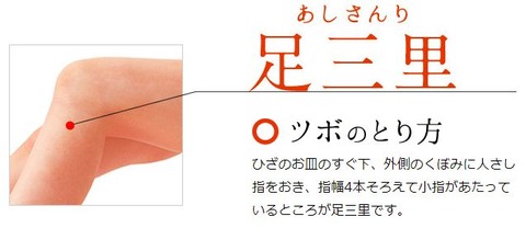 足三里(あしさんり)