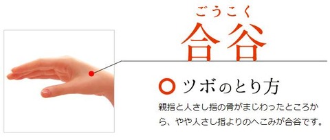 合谷-ごうこく