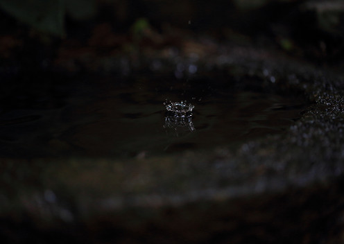 s_C5D_1033_org