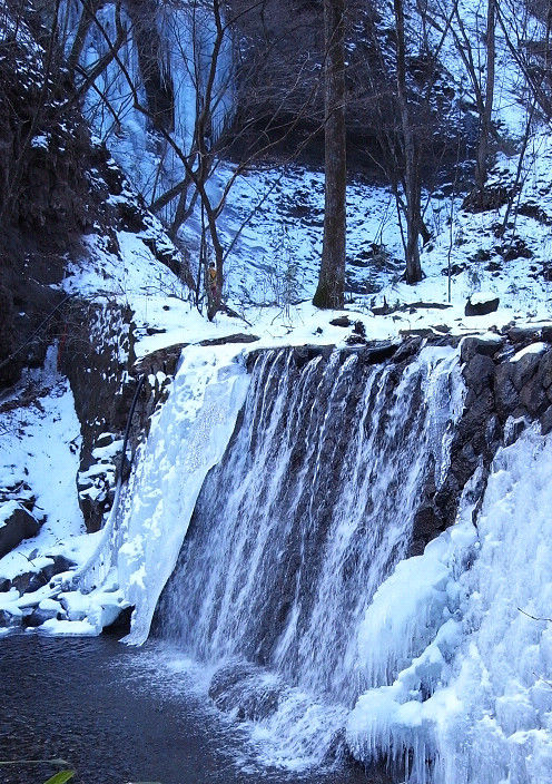 20100122_3