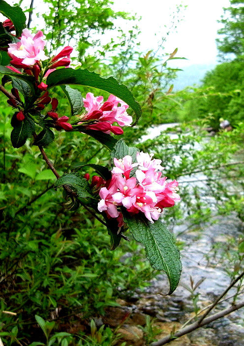 s201106053