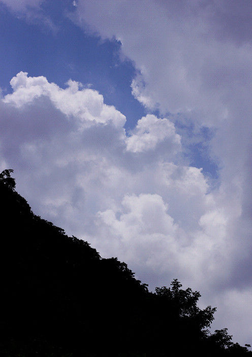 s20110713_2