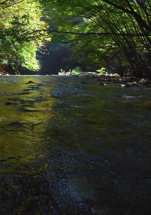 s20110908_4