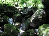 20070810-8
