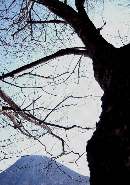 s20110205_3