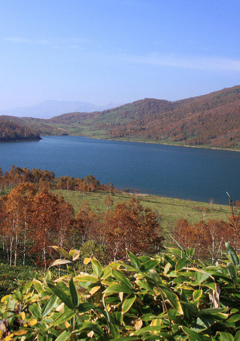 s20111014_1