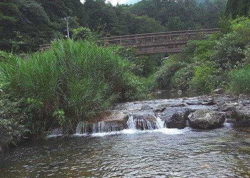 s20110818_5