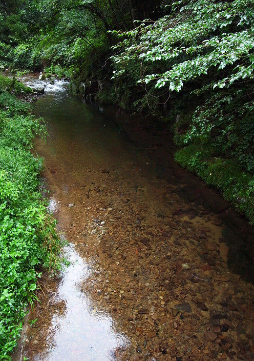 s20110820_6