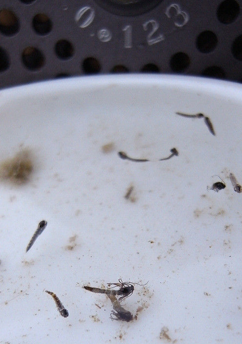 s20110220_4