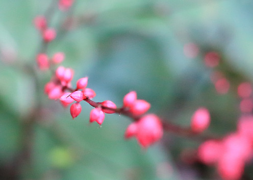 s_IMG_2852