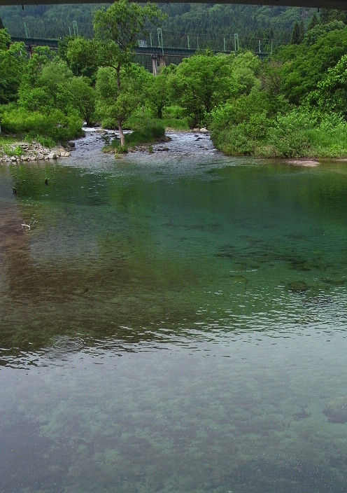 s20110619_1