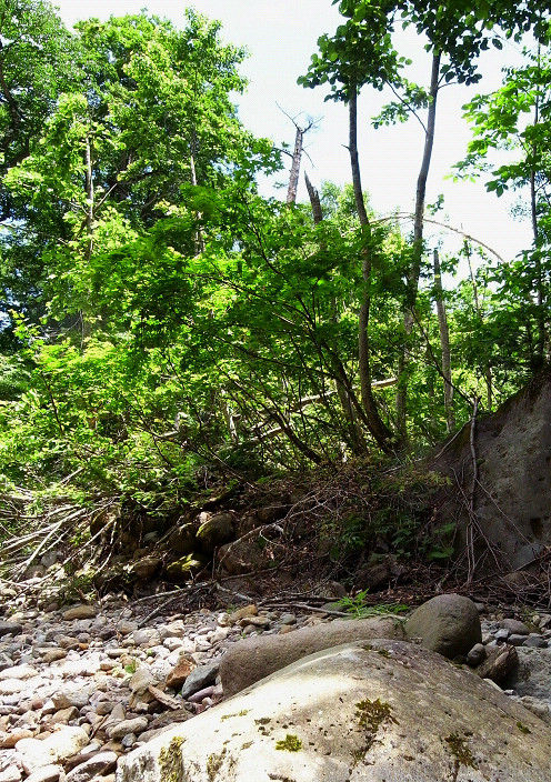 s20110706_4