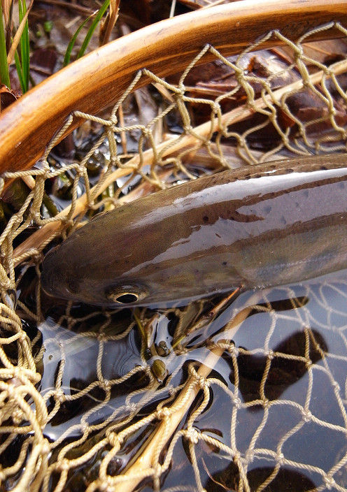 s20110220_1