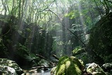 20070810-3