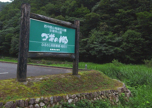 s20110818_4