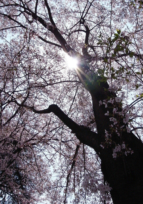 s201104161