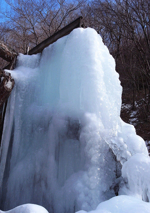 20100122_7