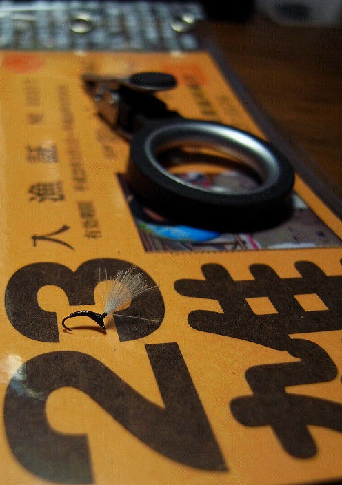 s20110228_1