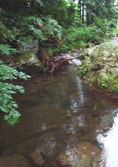 s20110818_11