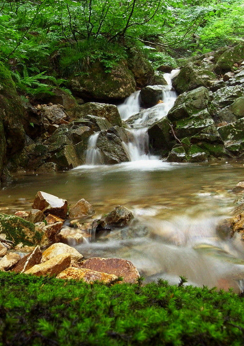 s20110727_3