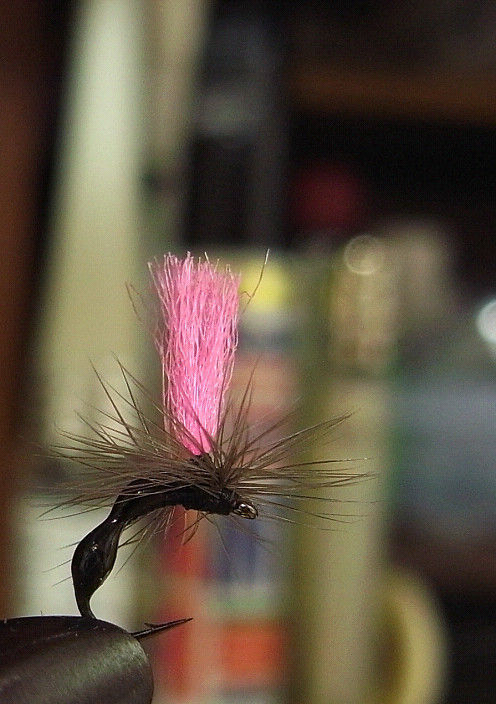 s20110811_5