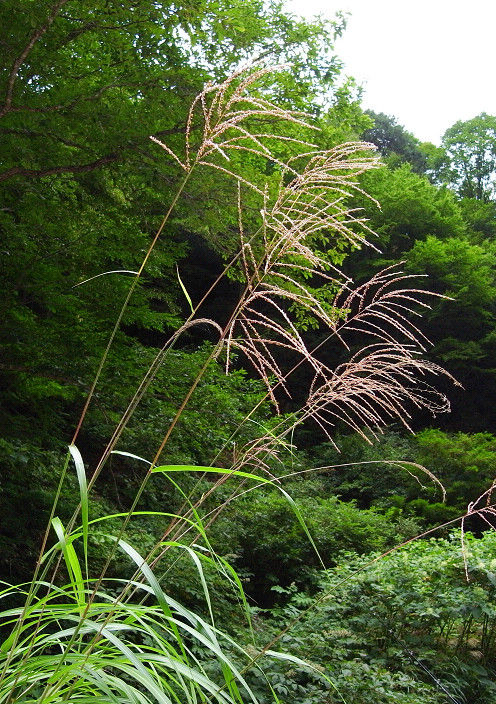 s201108131_6