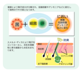 汗構造