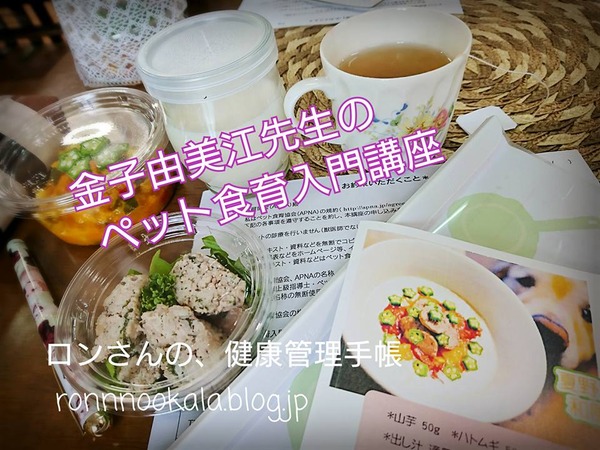 20170824 金子先生の入門講座 6