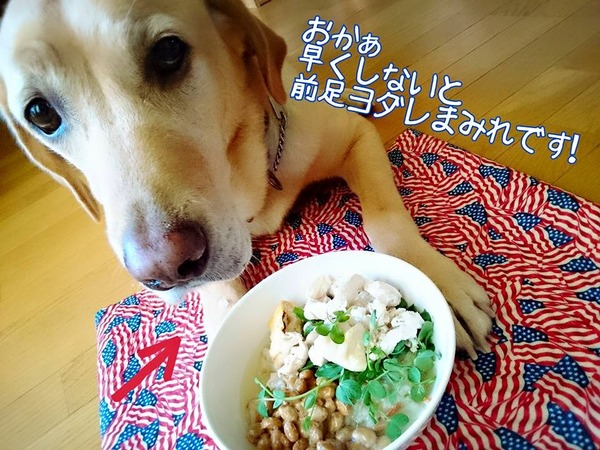 20151013 ロンご飯 鶏ムネササミ 3