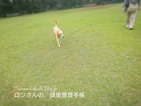 20170615 整体&トレーニング 92