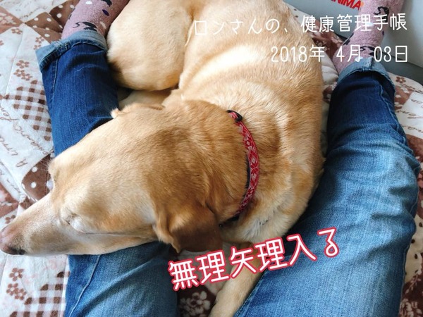 20180403 2