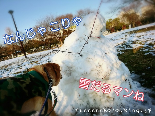 18-01-24-11-07-27-889_deco