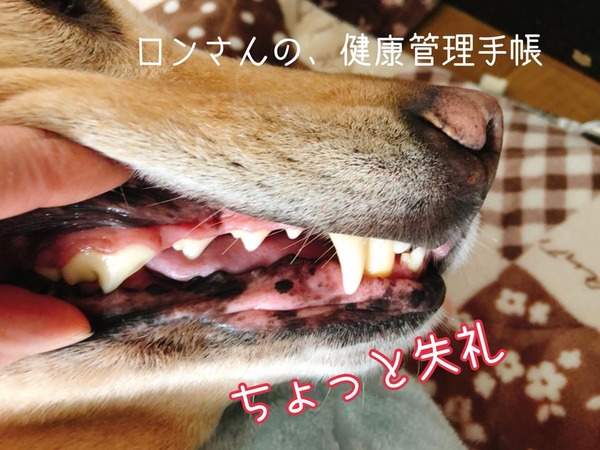 20180403 92