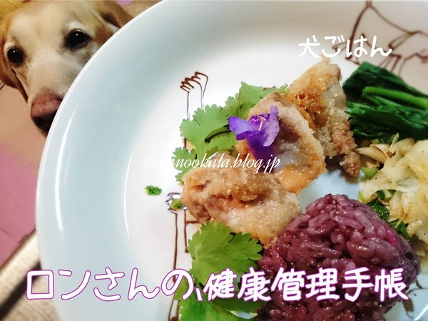 20161202 家族とおそろい犬ごはん 4
