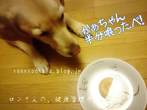 20160920 わんこだって、最中♪ (10)