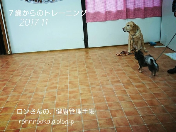 20171108 トレーニング 2