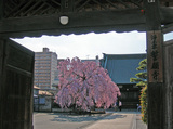 誓願寺01