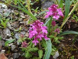 DSCN0221
