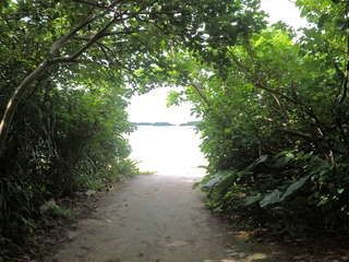 GOPR0838