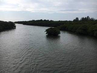 IMG_2066